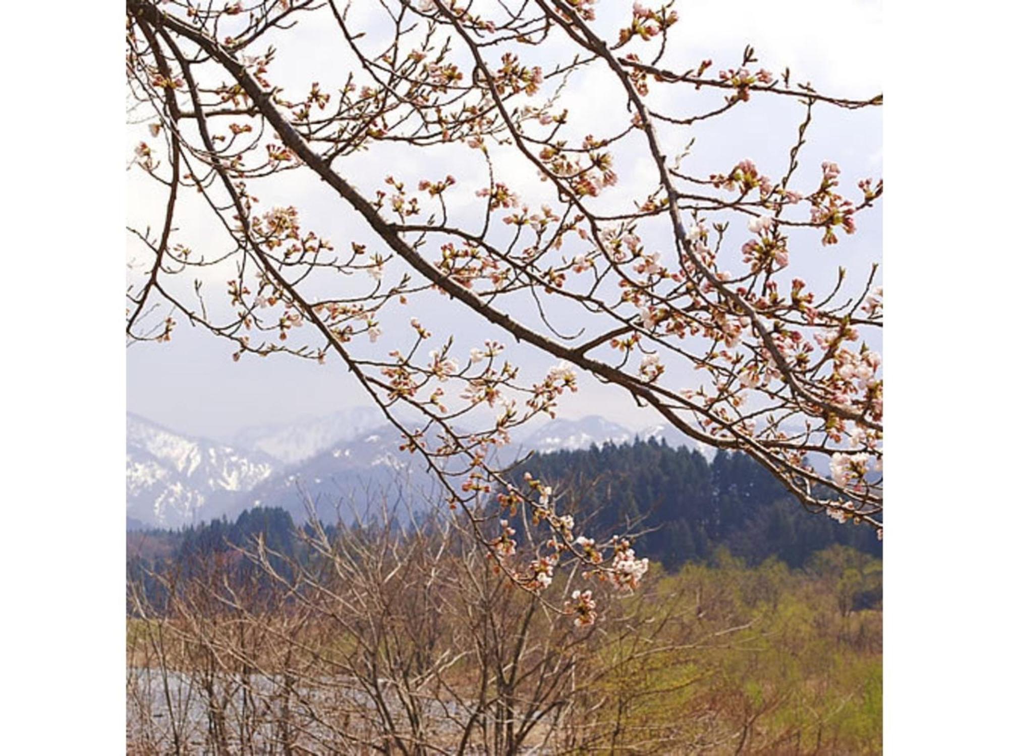 Shintainai Onsen Royal Tainai Park Hotel - Vacation Stay 90212V Екстер'єр фото