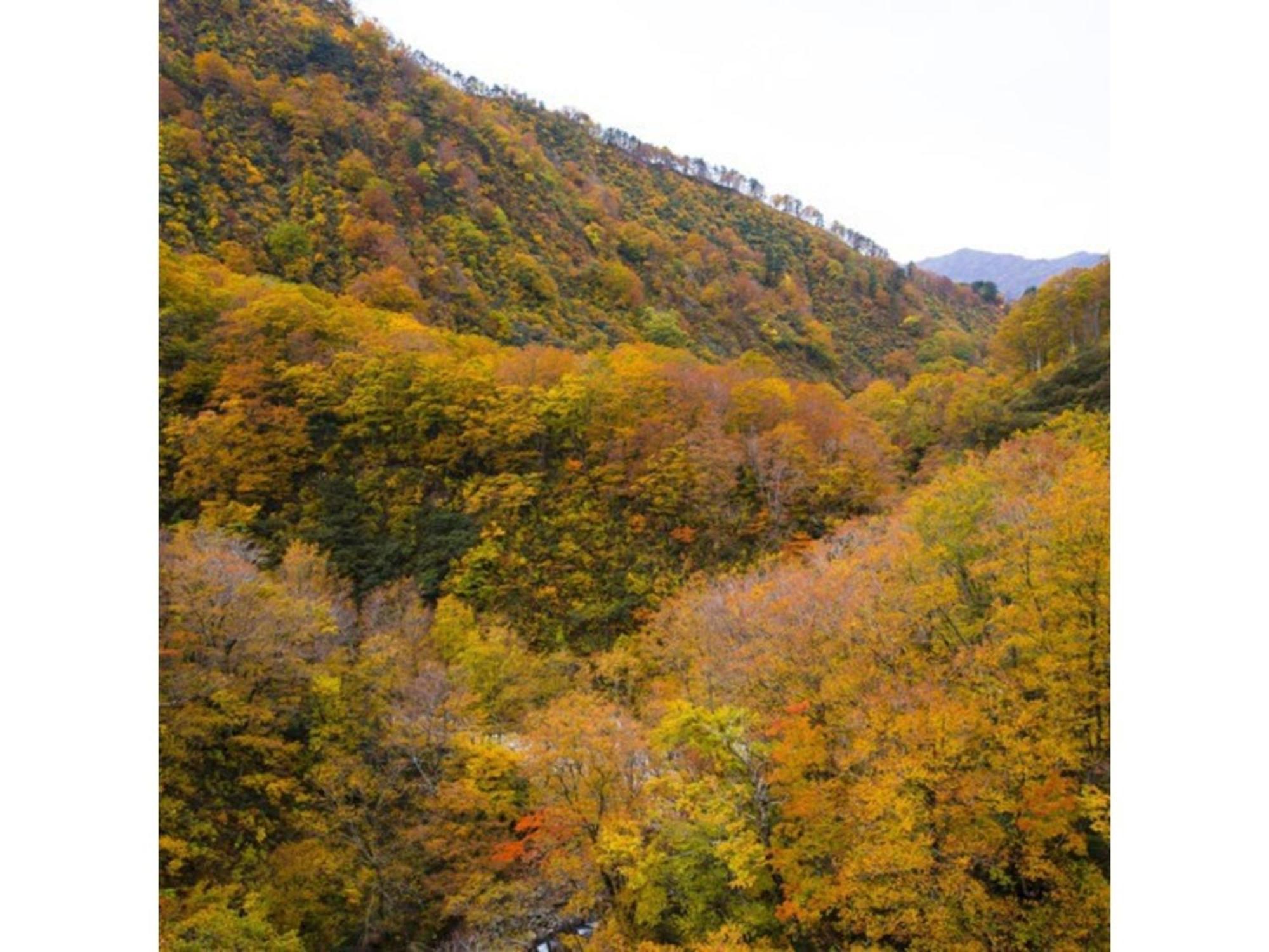 Shintainai Onsen Royal Tainai Park Hotel - Vacation Stay 90212V Екстер'єр фото