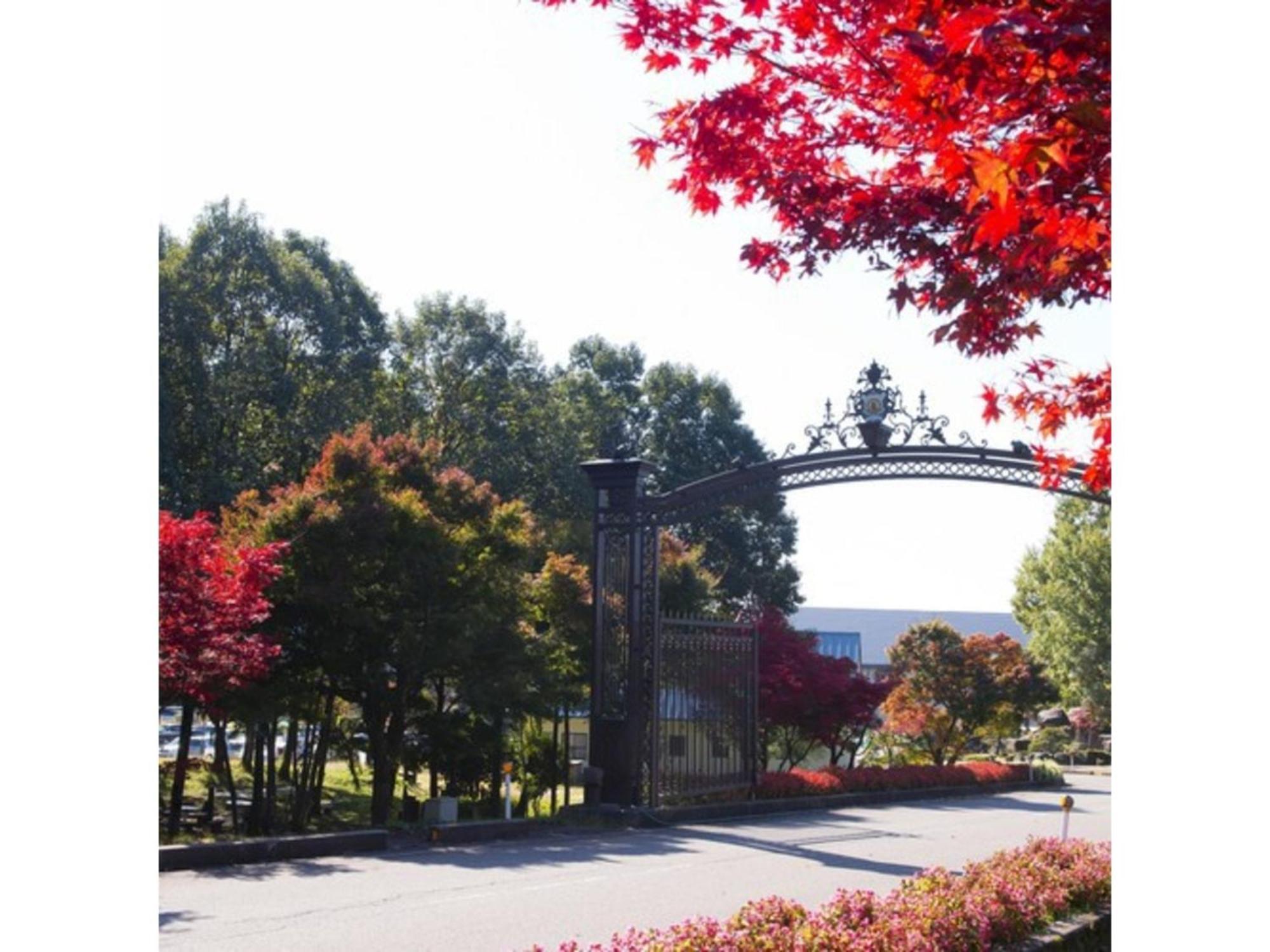 Shintainai Onsen Royal Tainai Park Hotel - Vacation Stay 90212V Екстер'єр фото