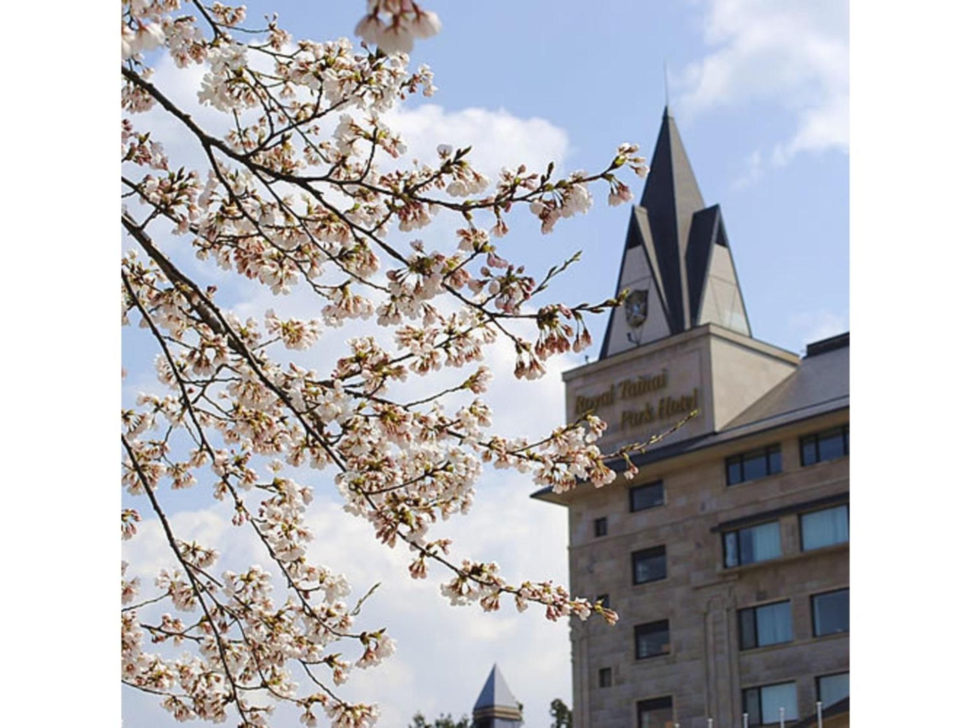 Shintainai Onsen Royal Tainai Park Hotel - Vacation Stay 90212V Екстер'єр фото